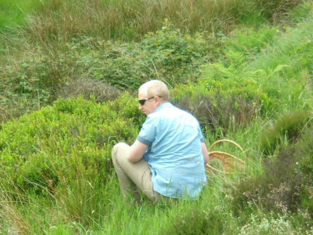 Why Ayahuasca and San Pedro?  The Search for plant&nbsp;connections