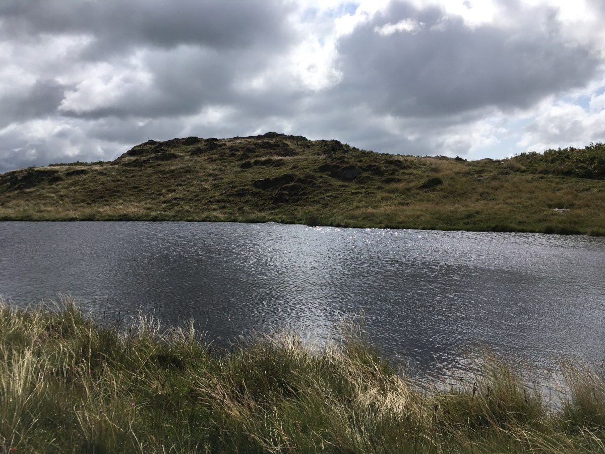 The Otherworld through&nbsp;Water